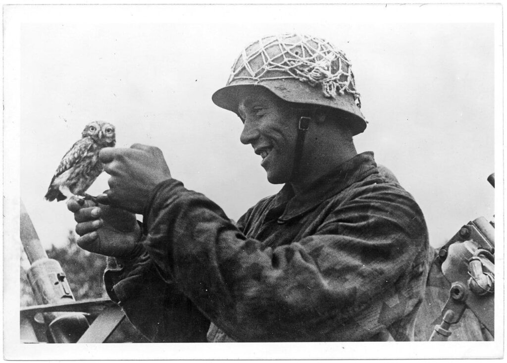 Canonnier allemand porteur d'un filet sur son casque lors de la bataille de Normandie - Archives du Calvados